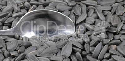 sunflower seeds background and teaspoon