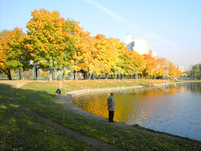 autumn in city park