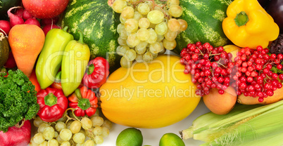 Collection fruit and vegetables on white