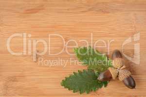 Acorn and leaves