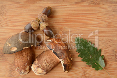 Oak leaves, acorn and Dark cep on wood