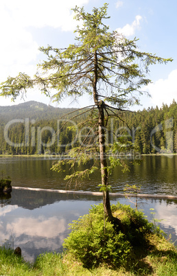 Großer Arbersee