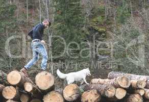 Young man and dog on logs in the forest