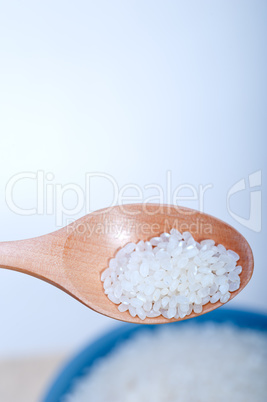 raw white rice