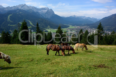 Wankblick auf das Wettersteingebirge