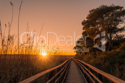 sunset at the pond in sardinia