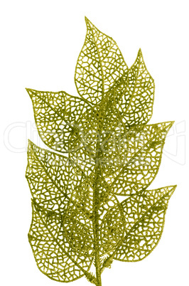 Christmas decorative green leaves