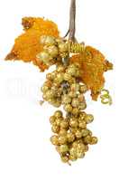 Golden grapes