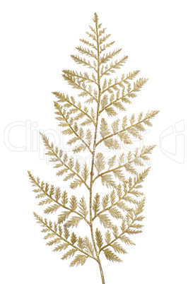 Christmas decorative Brown leaf