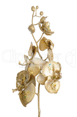 Golden Christmas decoration branches