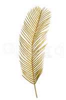 Christmas decorative golden feather