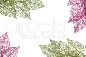 Christmas decorative green and pink leaves