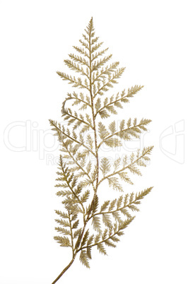 Christmas decorative golden leaves