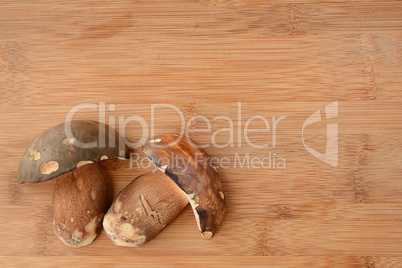 Mushroom arrangement