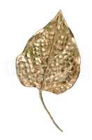 Beautiful decorative golden leaf