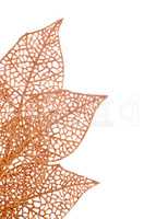 Christmas decorative orange leaves