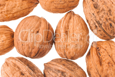 Walnuts in closeup