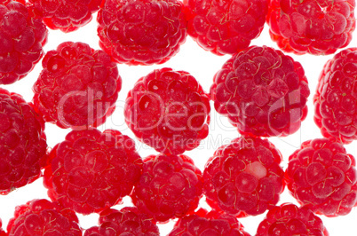 Fresh raspberries