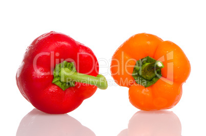 Two fresh peppers