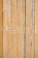Texture of pine wood