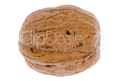 Simple wallnut