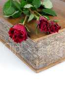 Red roses in a closed book