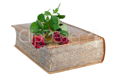 Red roses in a closed book