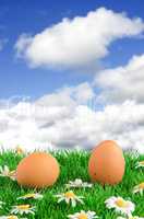 Two eggs with artificial grass