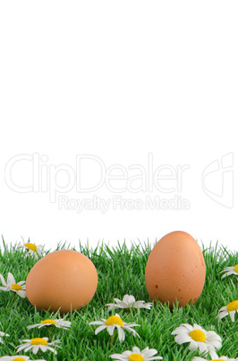 Two eggs with artificial grass