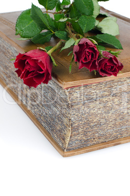 Red roses in a closed book