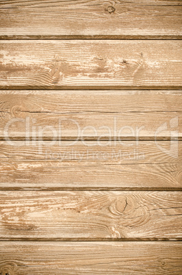 Texture of pine wood