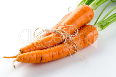 Fresh carrots