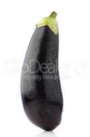 Big eggplant closeup