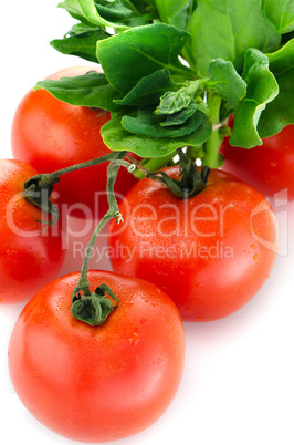 Red ripe tomato