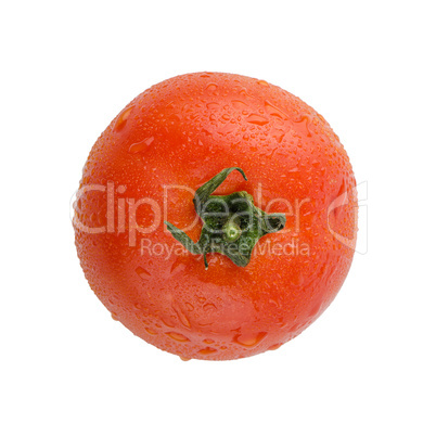 Fresh red tomato