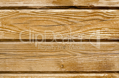 Texture of pine wood