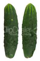 Fresh green cucumbers