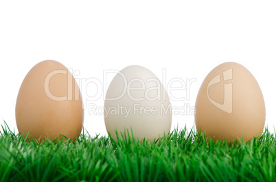 Three eggs on grass