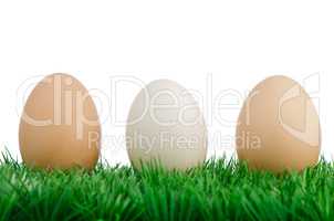 Three eggs on grass