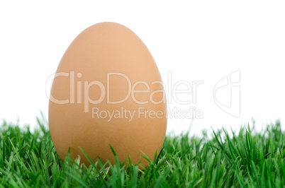 Egg on grass