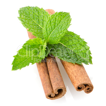 Cinnamon sticks and mint leaves