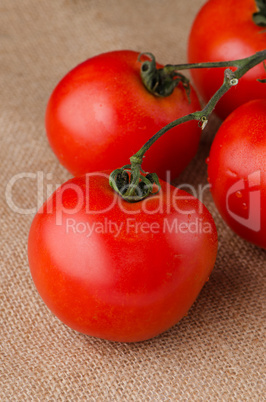 Cherry tomatoes vine