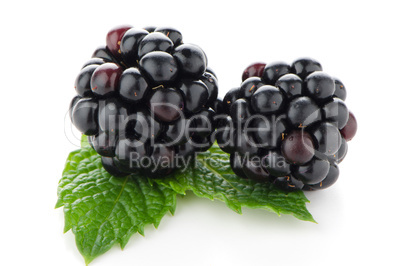 Ripe fresh blackberry