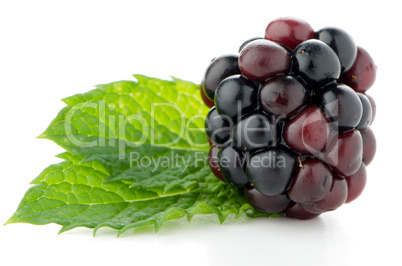 Ripe fresh blackberry