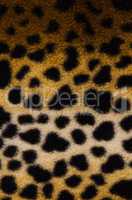 Pattern of a tiger skin
