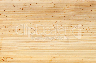 Wooden background