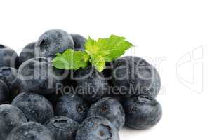 Ripe blueberry