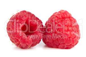 Ripe red raspberry