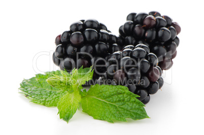 fresh berry blackberry