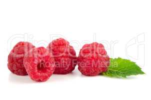 Ripe red raspberry